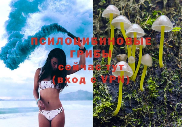 прущий лед Бронницы
