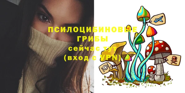 прущий лед Бронницы