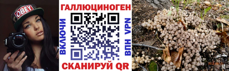 Галлюциногенные грибы ЛСД Купить закладки Меленки